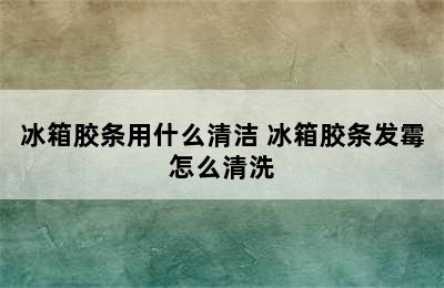 冰箱胶条用什么清洁 冰箱胶条发霉怎么清洗